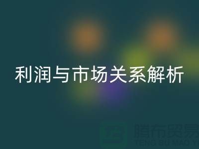 库存服装乐玩手机网页版登录入口价格的秘密揭示：利润与市场关系深度解析