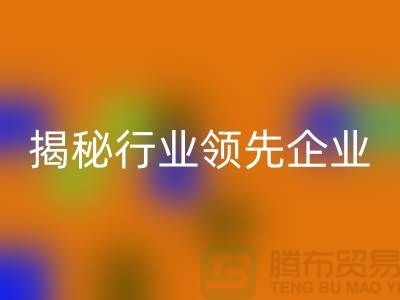 上海物资星空手机入口公司排名前十名有哪些公司名称？