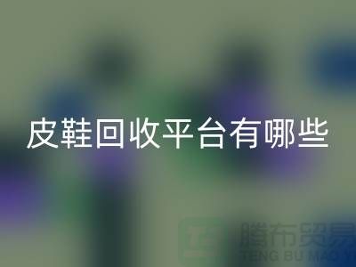 真皮皮鞋乐玩手机网页版登录入口平台有哪些——上海光头库存乐玩手机网页版登录入口公司