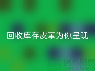 探索未知之美，乐玩手机网页版登录入口库存皮革为你呈现