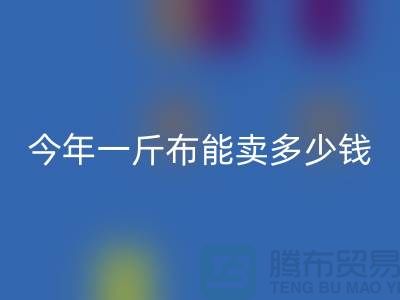废旧布料乐玩手机网页版登录入口价格全解析：2023年一斤能卖多少钱？