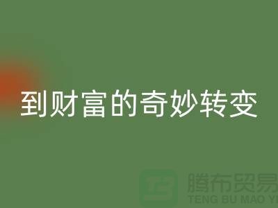 乐玩手机网页版登录入口库存拉链：从垃圾到财富的奇妙转变