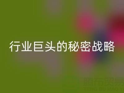 上海库存布料星空手机入口市场：揭秘行业巨头的秘密战略
