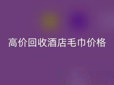 徐州乐玩手机网页版登录入口毛巾浴袍，高价乐玩手机网页版登录入口酒店毛巾价格——上海腾布贸易公司