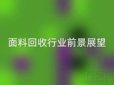 南通库存面料乐玩手机网页版登录入口行业前景展望：开启新篇章