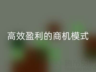 南通库存布料乐玩手机网页版登录入口策略：打造高效盈利的商机模式