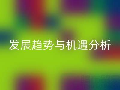 南通库存二等布乐玩手机网页版登录入口市场前景：行业发展趋势与机遇分析
