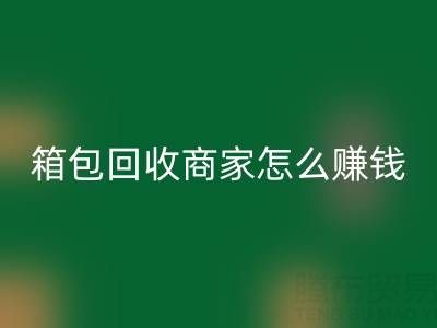 箱包乐玩手机网页版登录入口商家怎么赚钱？如何运营？销售途径——乐玩手机网页版登录入口箱包网