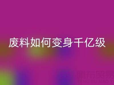 上海真丝面料乐玩手机网页版登录入口公司：废料如何变身千亿级绿色财富？