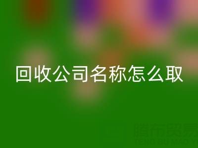 过期染料乐玩手机网页版登录入口公司名称怎么取？创意命名指南与行业趋势解析