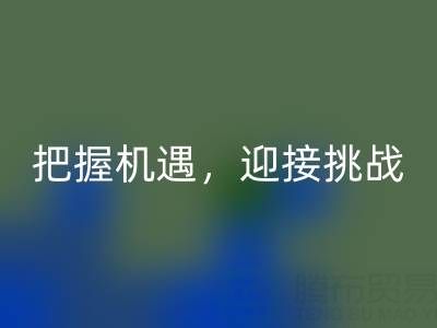 库存棉纱乐玩手机网页版登录入口的未来趋势：把握机遇，迎接挑战
