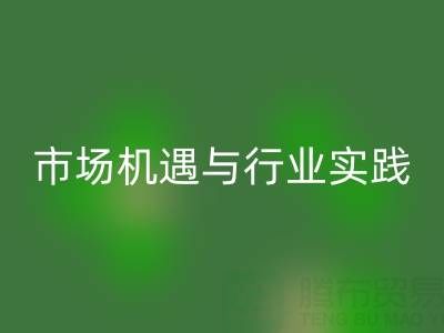 环保新蓝海，衣服辅料星空手机入口的市场机遇与行业实践