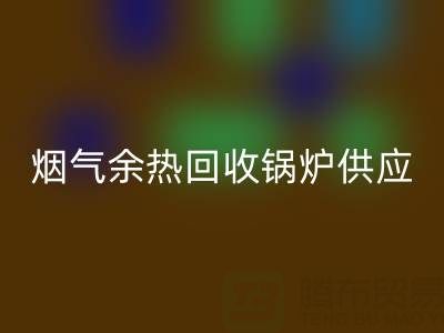 烟气余热星空手机入口锅炉供应商盘点：行业领先企业及技术解析