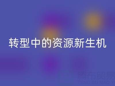 上海服装面料乐玩手机网页版登录入口：绿色转型中的资源新生机