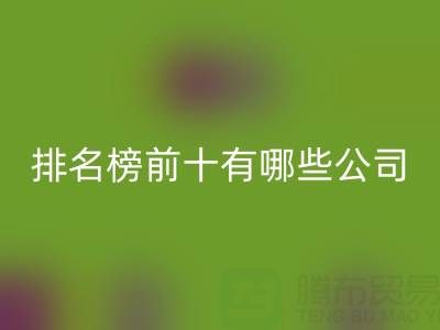 家纺辅料星空手机入口厂家排名榜前十有哪些公司