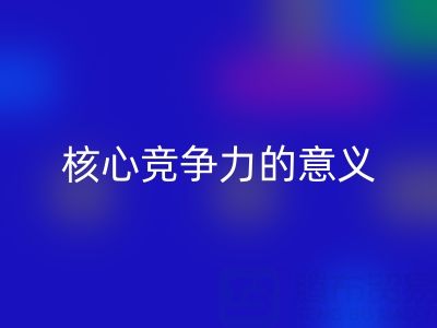 杭州家纺辅料星空手机入口公司的核心竞争力与重大意义