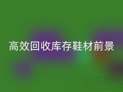 高效乐玩手机网页版登录入口库存鞋材，助力鞋业绿色发展