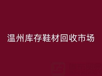 温州库存鞋材乐玩手机网页版登录入口市场现状与未来趋势分析