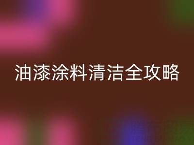 油漆涂料清洁全攻略：从清洗技巧到环保乐玩手机网页版登录入口指南