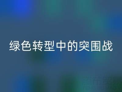 库存布料乐玩手机网页版登录入口公司：挑战与机遇并存，绿色转型中的突围战
