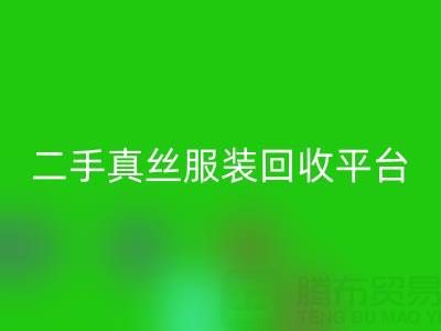 循环时尚新趋势：二手真丝服装乐玩手机网页版登录入口平台如何重塑绿色衣橱