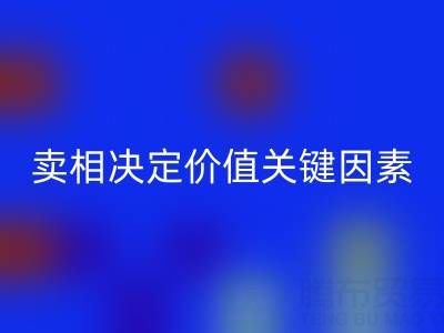杭州真丝面料乐玩手机网页版登录入口价格全解析：卖相决定价值的关键因素