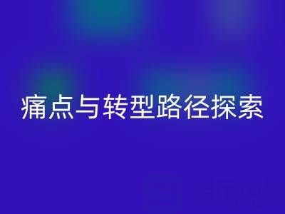 杭州库存布料乐玩手机网页版登录入口市场现状解析：痛点与转型路径探索