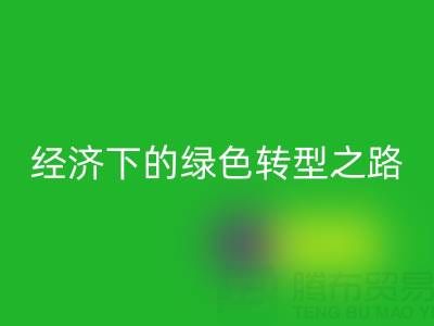 增塑剂、阻燃剂、氧化锌、增白剂星空手机入口：循环经济下的绿色转型之路