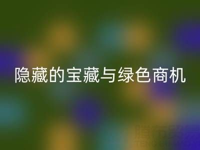 库存辅料乐玩手机网页版登录入口市场：隐藏的宝藏与绿色商机