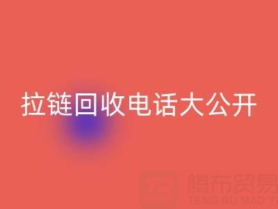 拉链乐玩手机网页版登录入口电话大公开，让你的环保行动更有力！