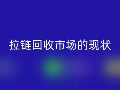 拉链乐玩手机网页版登录入口市场的现状：机遇与挑战并存