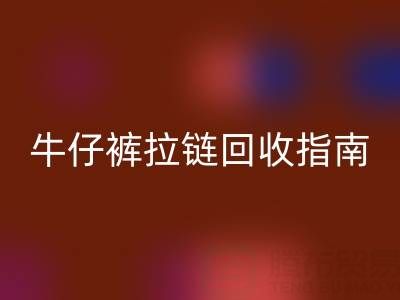 牛仔裤拉链乐玩手机网页版登录入口指南：小行动，大环保