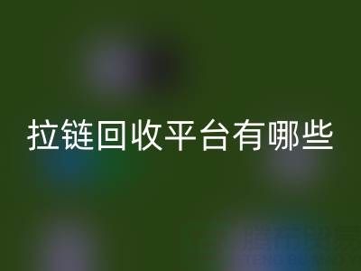 拉链星空手机入口平台有哪些品牌？探索环保星空手机入口的领先企业