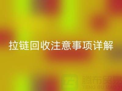 拉链乐玩手机网页版登录入口全指南：正确方法与关键注意事项详解