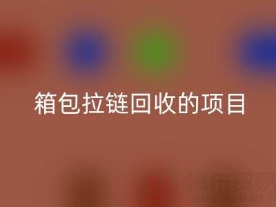  箱包拉链乐玩手机网页版登录入口项目的商业运营模式与盈利探索