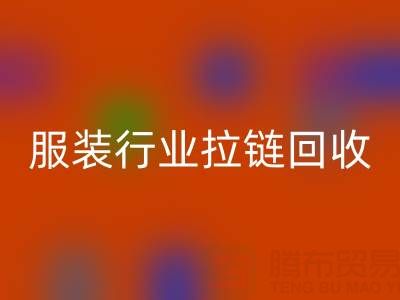 服装行业拉链乐玩手机网页版登录入口市场体系构建的必要性与可行性