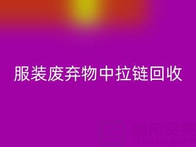 服装废弃物中拉链乐玩手机网页版登录入口的特殊性及应对措施