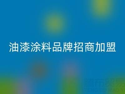 油漆涂料品牌招商加盟方案——携手油漆涂料乐玩手机网页版登录入口厂家，共创财富未来