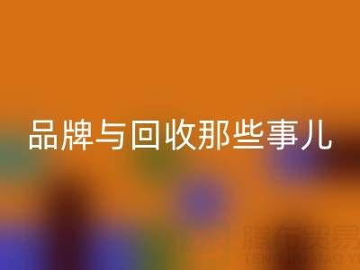 探寻油漆涂料世界：知名品牌与乐玩手机网页版登录入口那些事儿