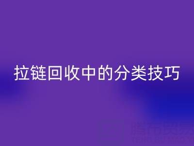 拉链乐玩手机网页版登录入口中的分类技巧：提高乐玩手机网页版登录入口效率的秘诀
