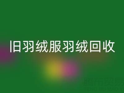 旧羽绒服羽绒乐玩手机网页版登录入口终极指南：零损耗取绒技巧大公开！