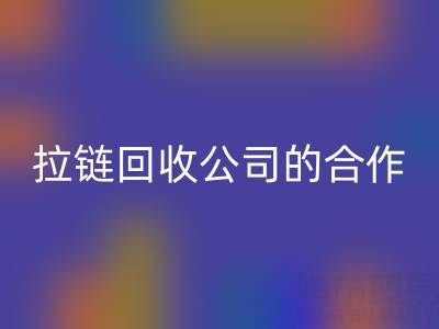 跨境电商时代：拉链乐玩手机网页版登录入口公司的国际合作与交流新路径