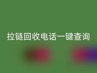 拉链乐玩手机网页版登录入口电话一键查询：让环保生活轻松又高效！
