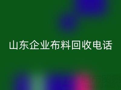 山东企业布料乐玩手机网页版登录入口全攻略：必知电话与资源指南