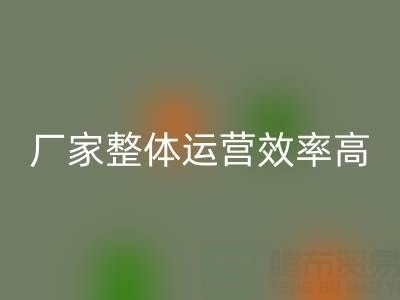 库存辅料乐玩手机网页版登录入口厂家：意义非凡，整体运营效率高