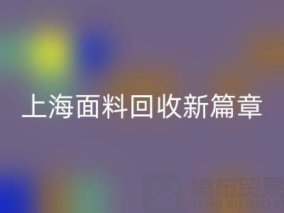 上海面料乐玩手机网页版登录入口新篇章：探索www.heidipfeifle.com/ml/的绿色服务