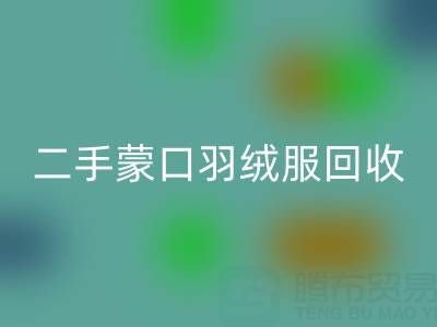 二手蒙口羽绒服乐玩手机网页版登录入口：拨打电话轻松咨询价格指南