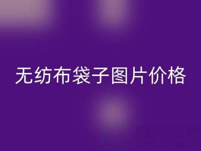 无纺布袋子生产厂家：如何高效获取产品图片与价格指南