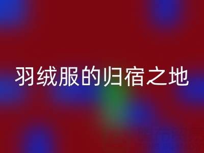 羽绒服乐玩手机网页版登录入口新选择：雅鹿、安踏、长款、鸭鸭羽绒服的归宿之地