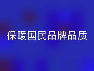 鸭鸭羽绒服：保暖国民品牌品质解析与环保乐玩手机网页版登录入口指南